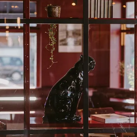 수퍼노바 로테르담